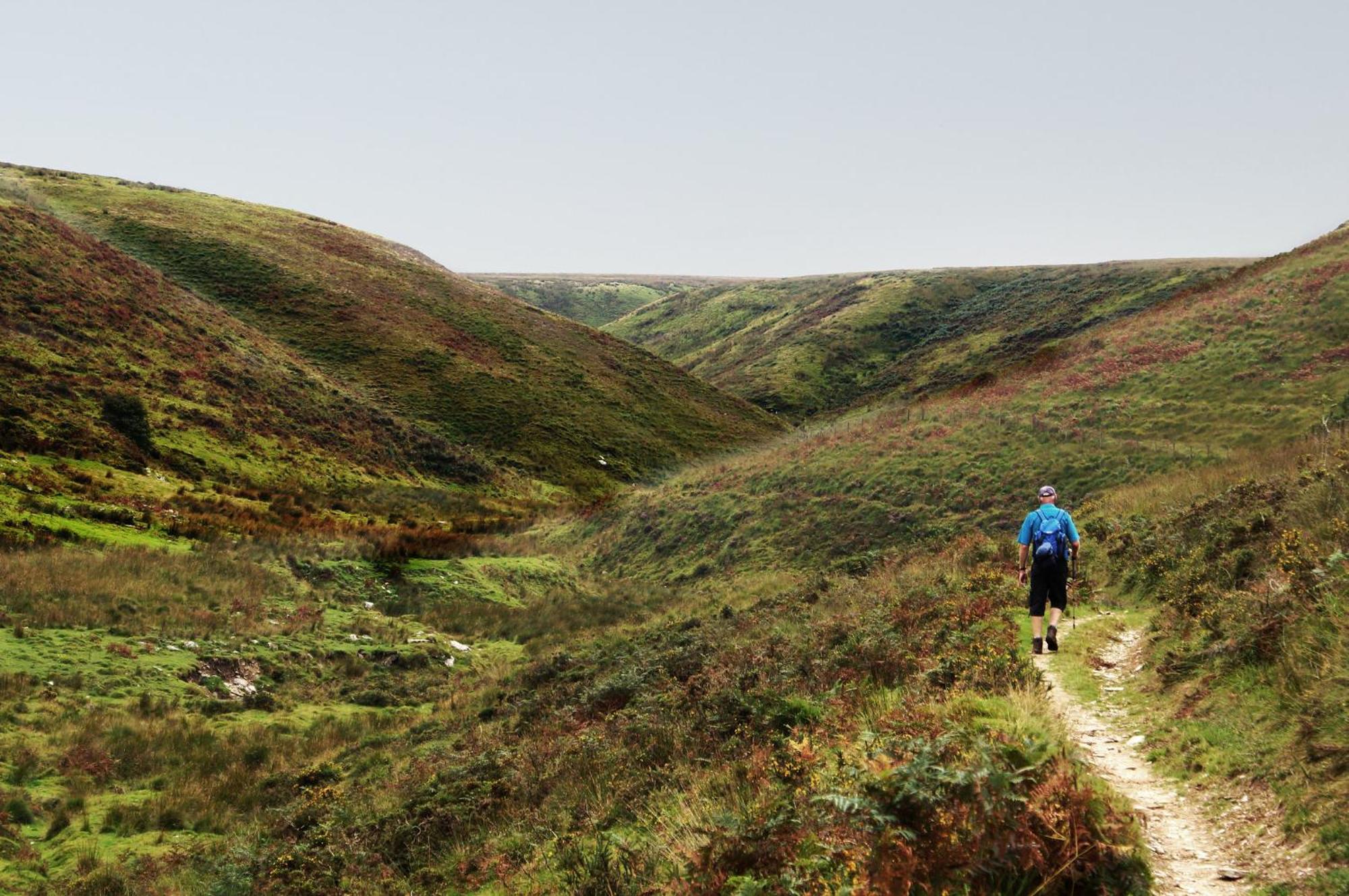 Luxury Bed And Breakfast At Bossington Hall In Exmoor, Somerset Porlock Eksteriør billede